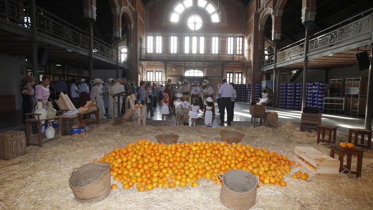 Carcaixent impulsa una marca pròpia per als seus cítrics: ‘Bressol de la Taronja’