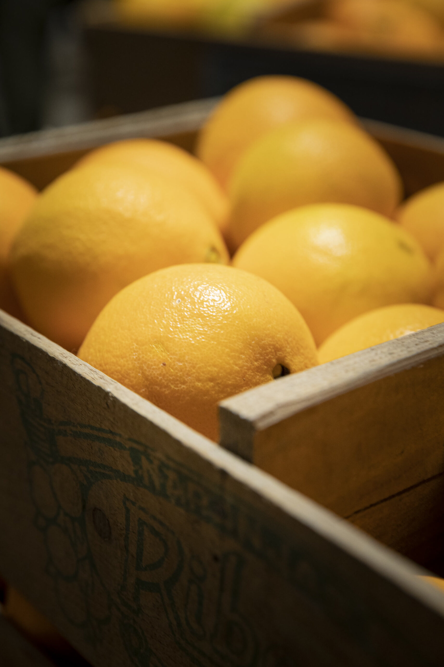 resized_III MOSTRA 2025-138